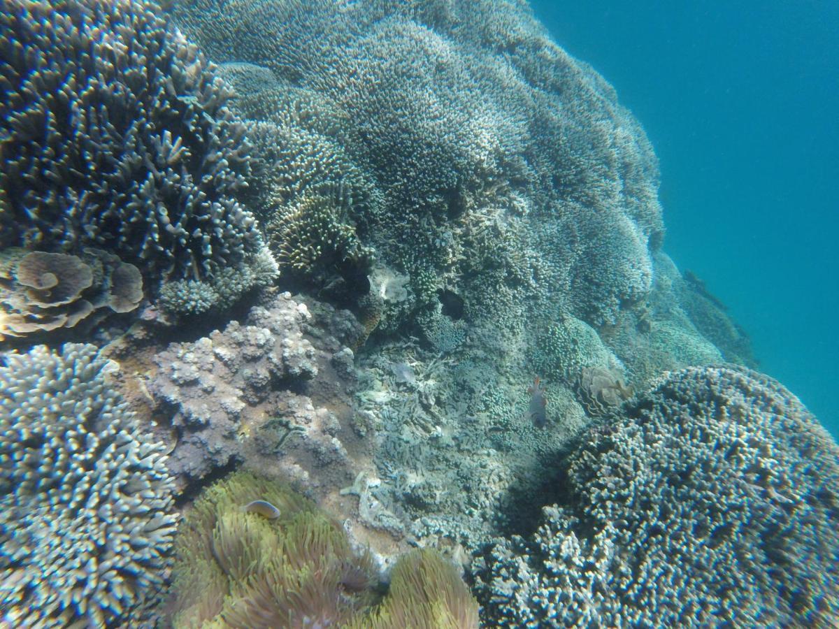 Mami Wata House Panzió Kwale Kültér fotó